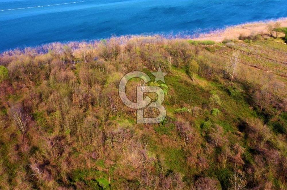 CB AKADEMİ SAPANCA YANIK GÖL KENARI 2347 m² SATILIK FIRSAT ARSA