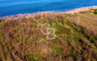 CB AKADEMİ SAPANCA YANIK GÖL KENARI 2347 m² SATILIK FIRSAT ARSA