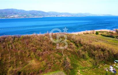 CB AKADEMİ SAPANCA YANIK GÖL KENARI 2347 m² SATILIK FIRSAT ARSA