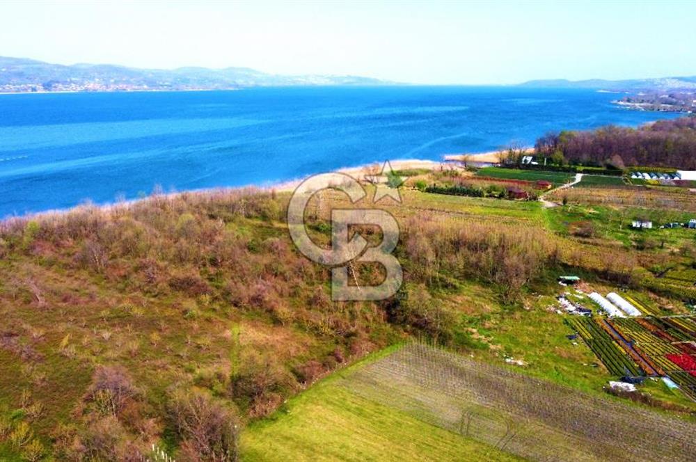 CB AKADEMİ SAPANCA YANIK GÖL KENARI 2347 m² SATILIK FIRSAT ARSA
