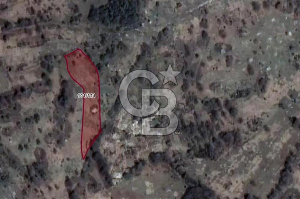 CB AKADEMİ Kandıra Kocakaymaz'da Satılık 2952 m² Tarla