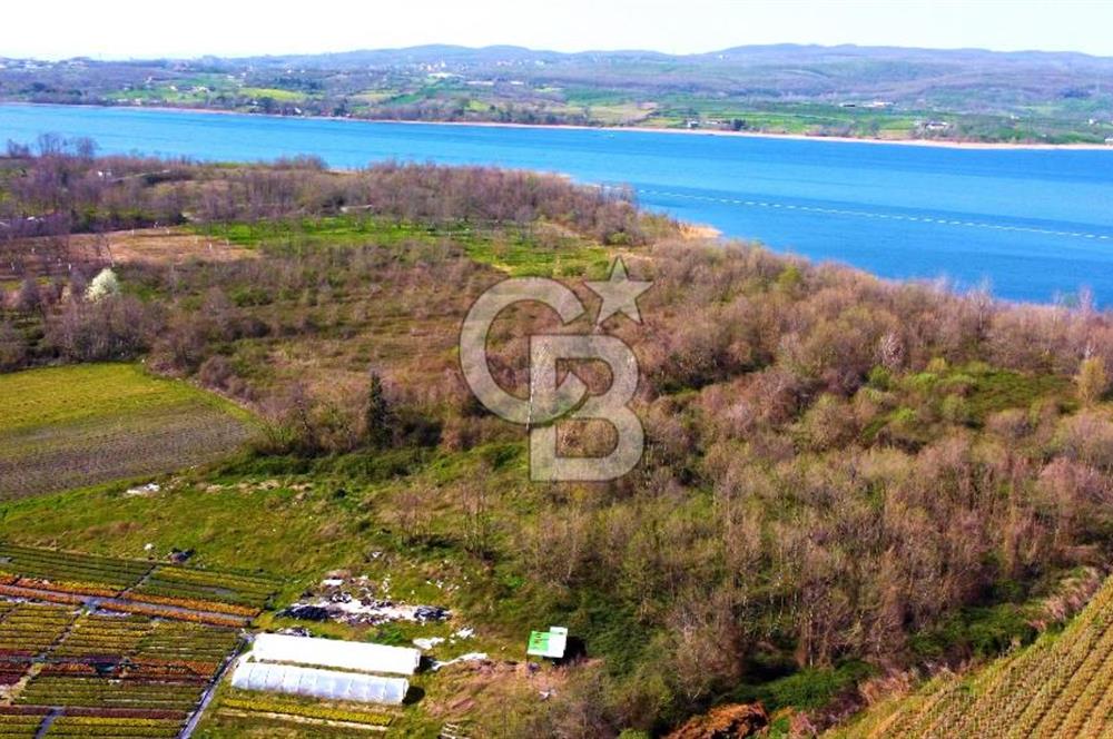 CB AKADEMİ SAPANCA YANIK GÖL KENARI 2347 m² SATILIK FIRSAT ARSA