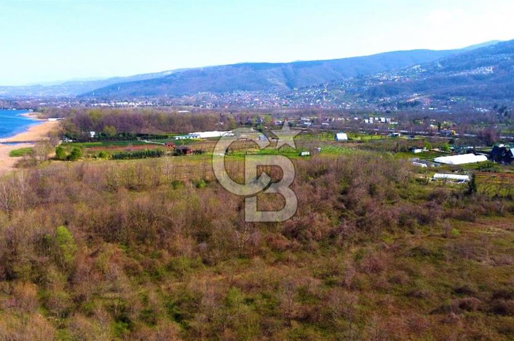 CB AKADEMİ SAPANCA YANIK GÖL KENARI 2347 m² SATILIK FIRSAT ARSA