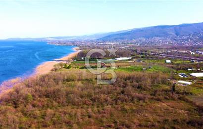 CB AKADEMİ SAPANCA YANIK GÖL KENARI 2347 m² SATILIK FIRSAT ARSA