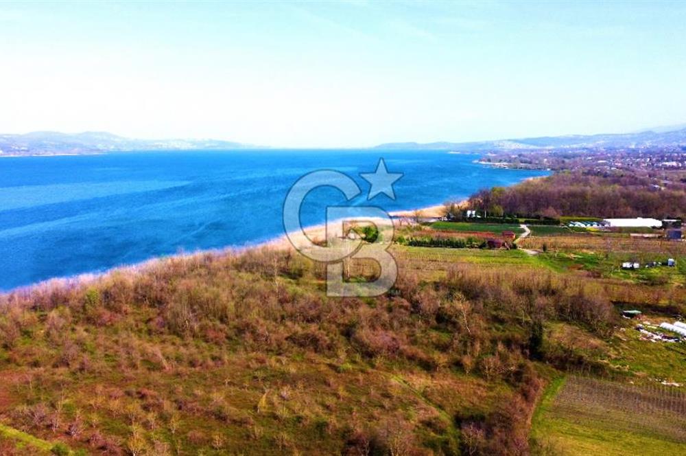 CB AKADEMİ SAPANCA YANIK GÖL KENARI 2347 m² SATILIK FIRSAT ARSA