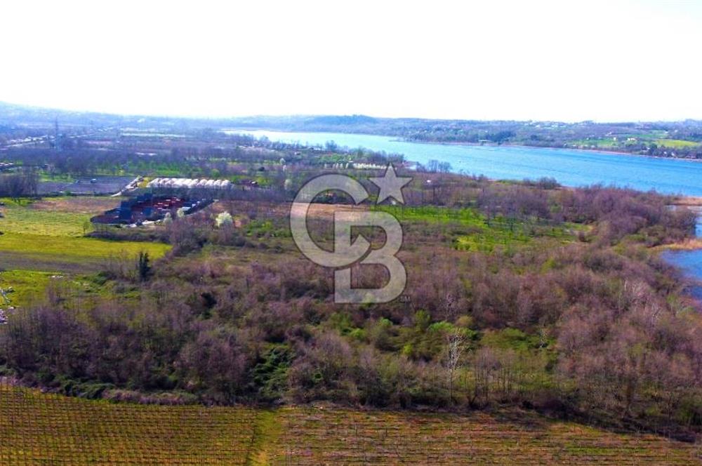 CB AKADEMİ SAPANCA YANIK GÖL KENARI 2347 m² SATILIK FIRSAT ARSA