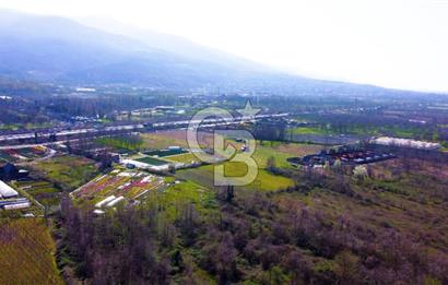 CB AKADEMİ SAPANCA YANIK GÖL KENARI 2347 m² SATILIK FIRSAT ARSA