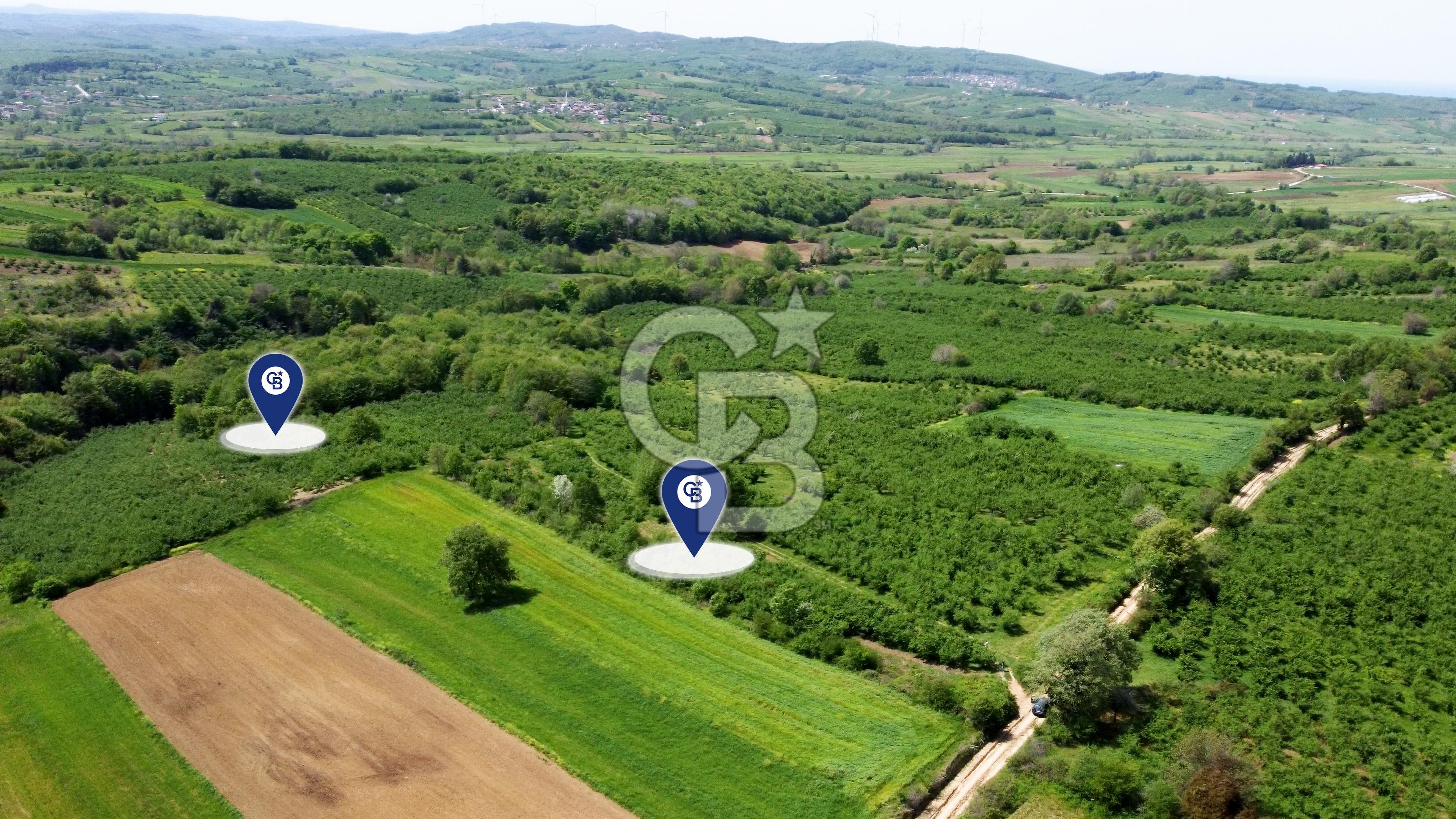 KANDIRA ÇALKÖYDE YOL CEPHE 2 PARSEL SATILIK 6.668 m² FIRSAT ARSA