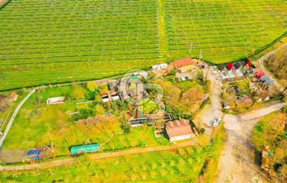 Kocaeli Kartepe Maşukiye Satılık Tatil Köyü