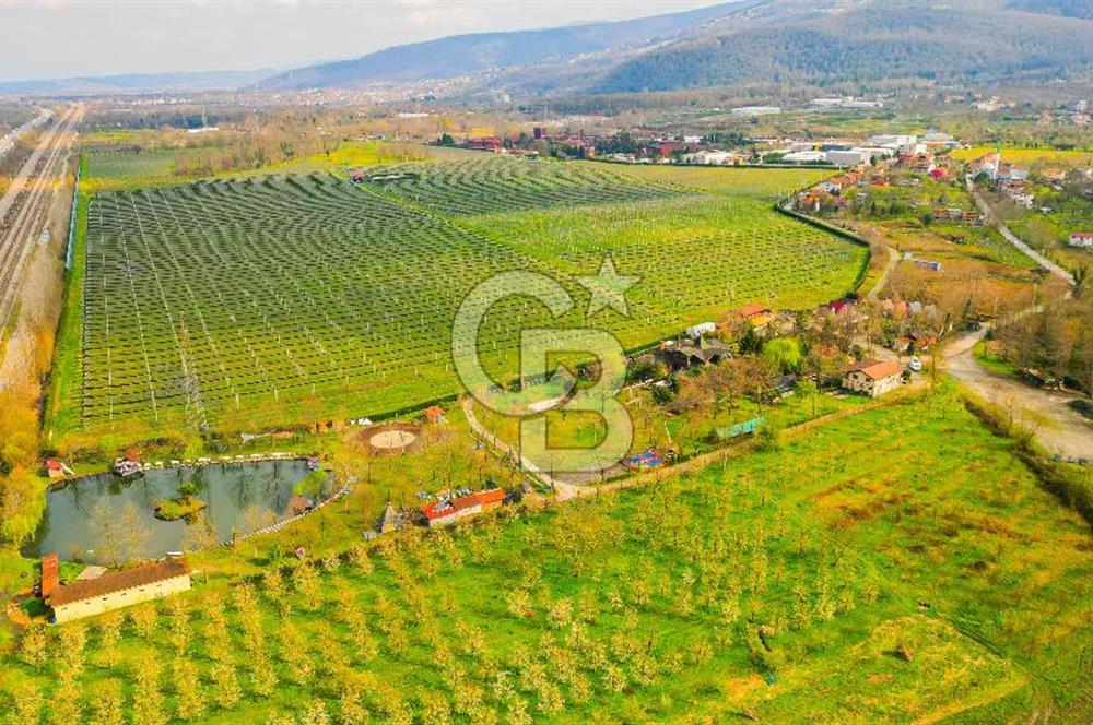 Kocaeli Kartepe Maşukiye Satılık Tatil Köyü