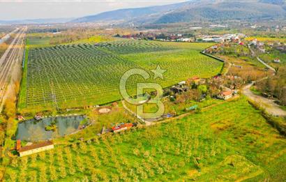 Kocaeli Kartepe Maşukiye Satılık Tatil Köyü