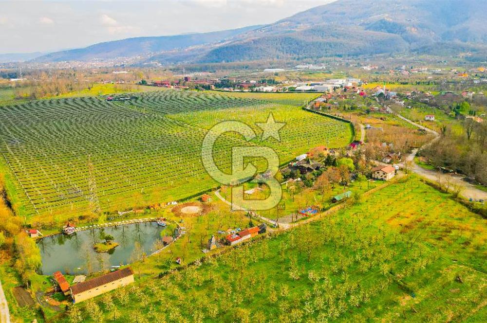Kocaeli Kartepe Maşukiye Satılık Tatil Köyü