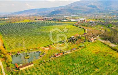 Kocaeli Kartepe Maşukiye Satılık Tatil Köyü