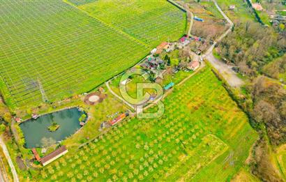 Kocaeli Kartepe Maşukiye Satılık Tatil Köyü