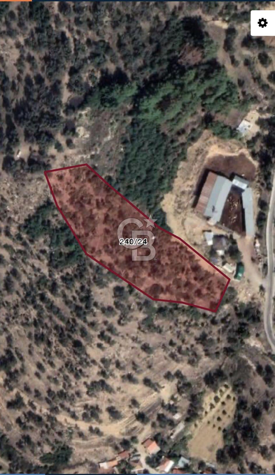 SEFERİHİSAR ORHANLI'DA 6291 m2 SATILIK ZEYTİNLİK