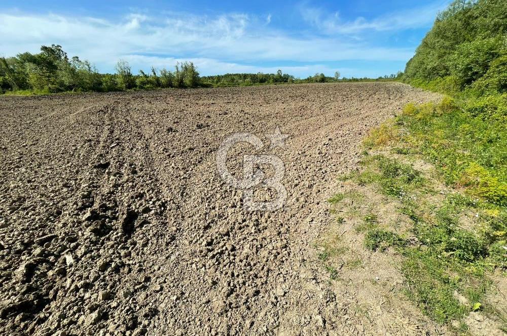 SAMSUN HAVAALANINA YAKIN SATILIK FIRSAT TARLA