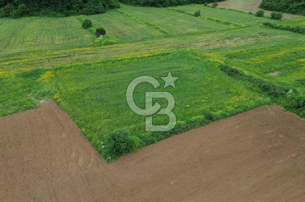 FIRSAT LAPSEKİ GÜRECİALTINDA BURSA YOLUNA 50M DENİZE 300M ARAZİ