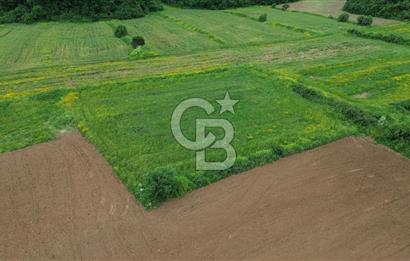 FIRSAT LAPSEKİ GÜRECİALTINDA BURSA YOLUNA 50M DENİZE 300M ARAZİ