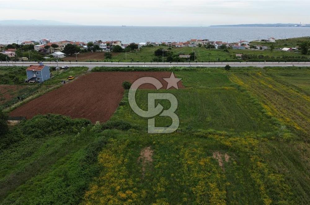 FIRSAT LAPSEKİ GÜRECİALTINDA BURSA YOLUNA 50M DENİZE 300M ARAZİ