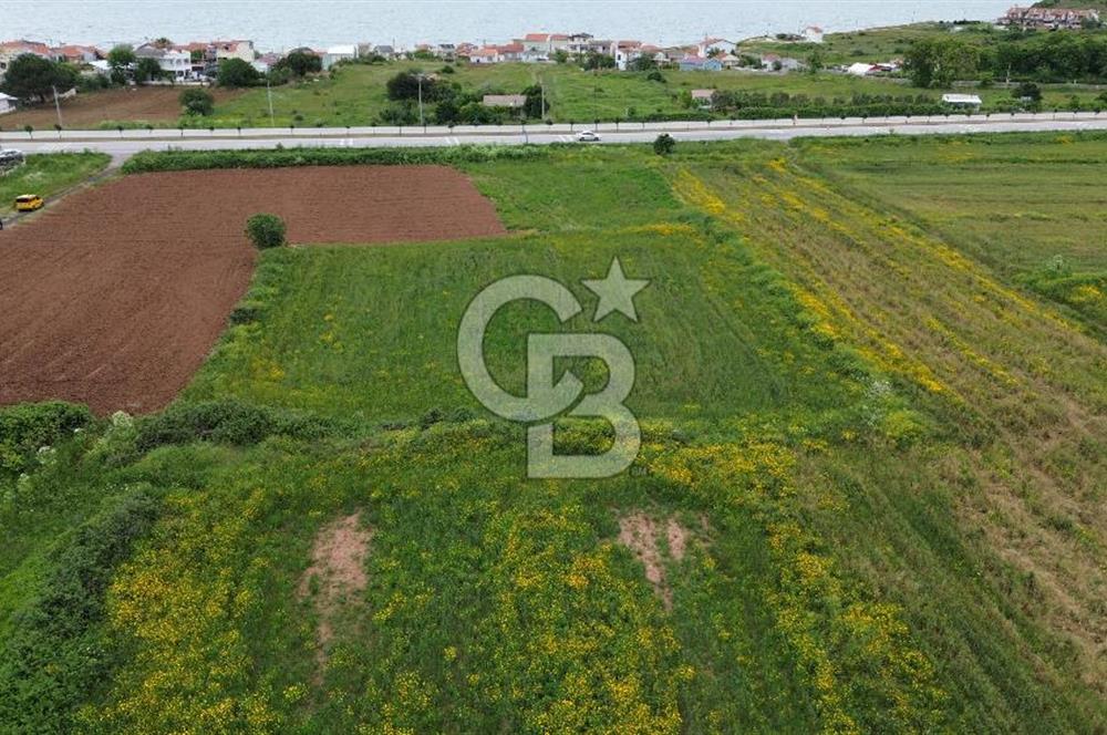 FIRSAT LAPSEKİ GÜRECİALTINDA BURSA YOLUNA 50M DENİZE 300M ARAZİ