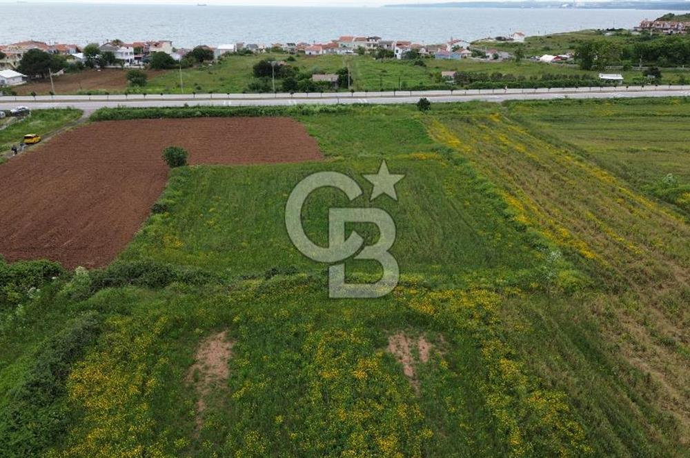 FIRSAT LAPSEKİ GÜRECİALTINDA BURSA YOLUNA 50M DENİZE 300M ARAZİ