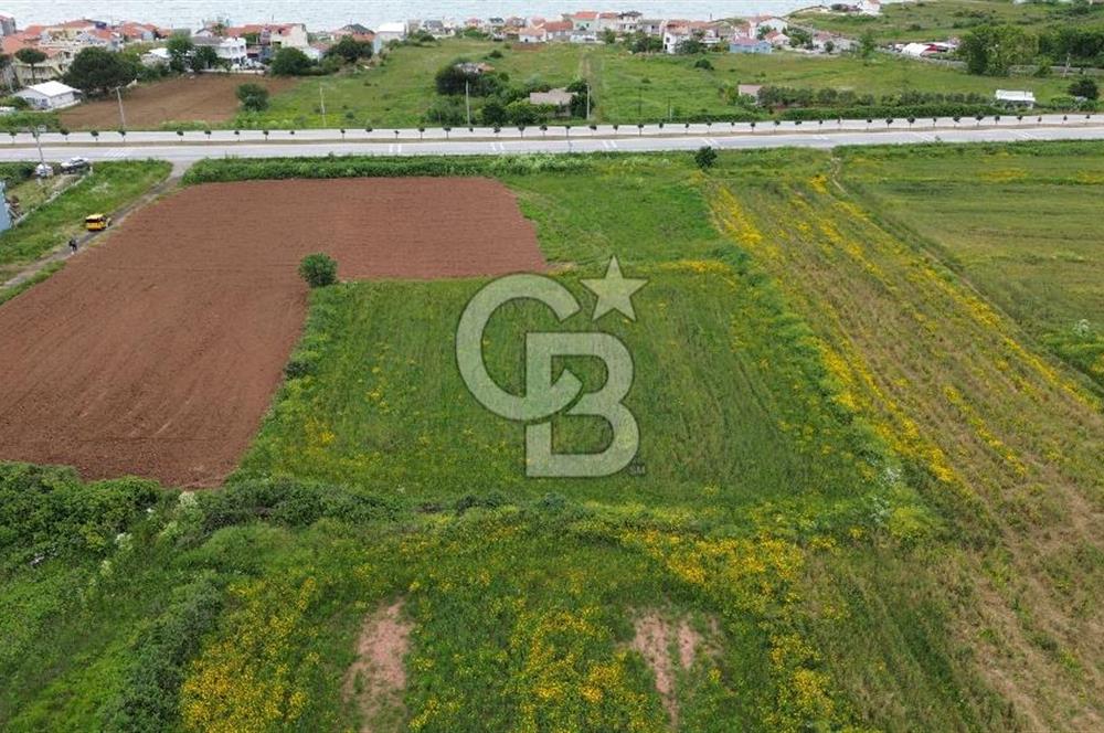 FIRSAT LAPSEKİ GÜRECİALTINDA BURSA YOLUNA 50M DENİZE 300M ARAZİ