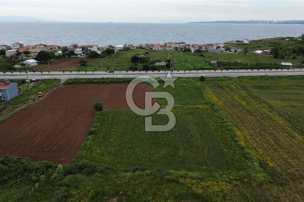 FIRSAT LAPSEKİ GÜRECİALTINDA BURSA YOLUNA 50M DENİZE 300M ARAZİ