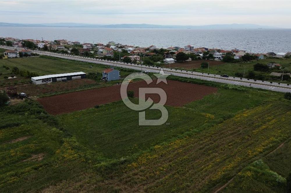 FIRSAT LAPSEKİ GÜRECİALTINDA BURSA YOLUNA 50M DENİZE 300M ARAZİ