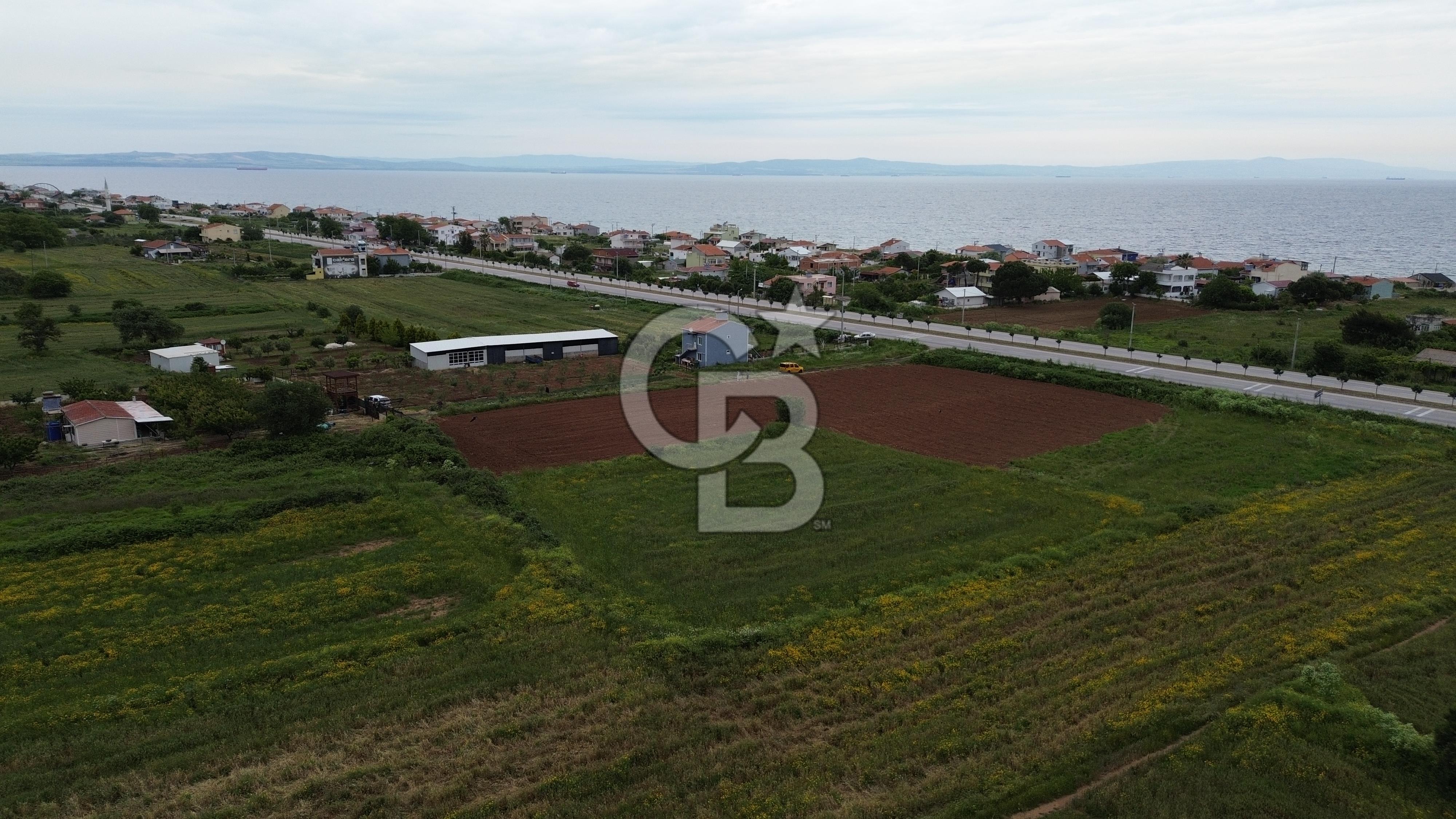 FIRSAT LAPSEKİ GÜRECİALTINDA BURSA YOLUNA 50M DENİZE 300M ARAZİ