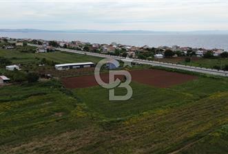 FIRSAT LAPSEKİ GÜRECİALTINDA BURSA YOLUNA 50M DENİZE 300M ARAZİ