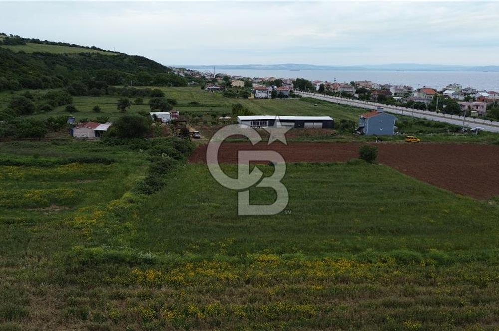 FIRSAT LAPSEKİ GÜRECİALTINDA BURSA YOLUNA 50M DENİZE 300M ARAZİ
