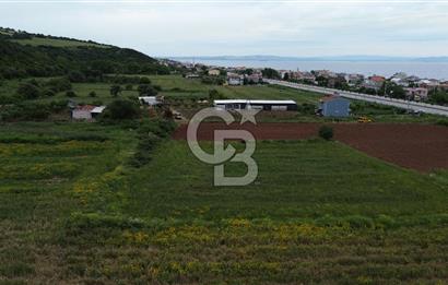 FIRSAT LAPSEKİ GÜRECİALTINDA BURSA YOLUNA 50M DENİZE 300M ARAZİ