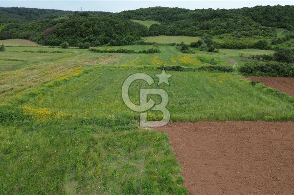 FIRSAT LAPSEKİ GÜRECİALTINDA BURSA YOLUNA 50M DENİZE 300M ARAZİ