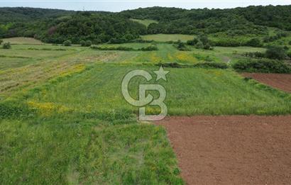 FIRSAT LAPSEKİ GÜRECİALTINDA BURSA YOLUNA 50M DENİZE 300M ARAZİ