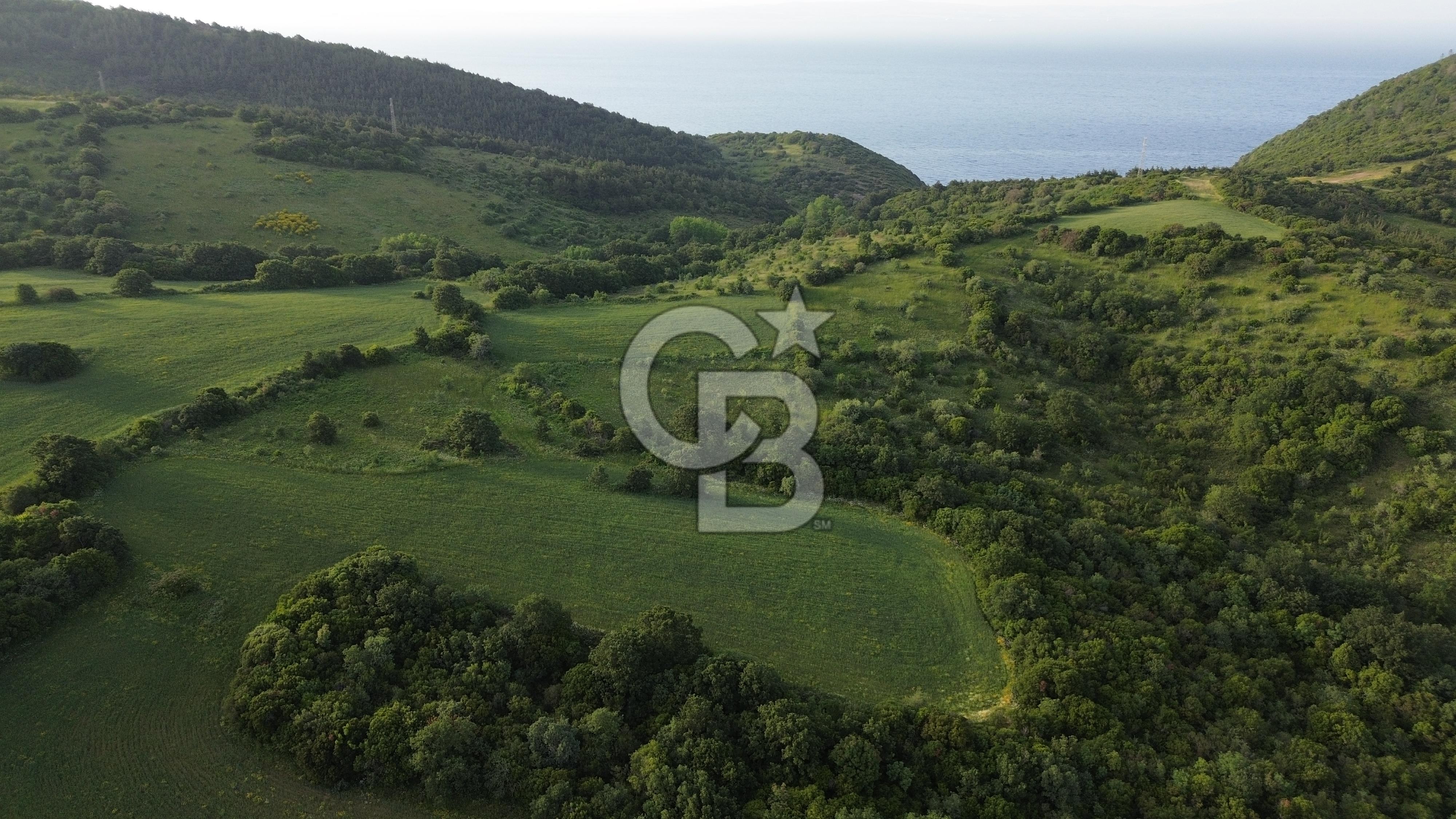 LAPSEKİ GÜRECİDE 3512 M² BURSA YOLUNA 300 MT DENİZE YAKIN TARLA