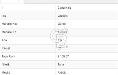 FIRSAT LAPSEKİ GÜRECİALTINDA BURSA YOLUNA 50M DENİZE 300M ARAZİ