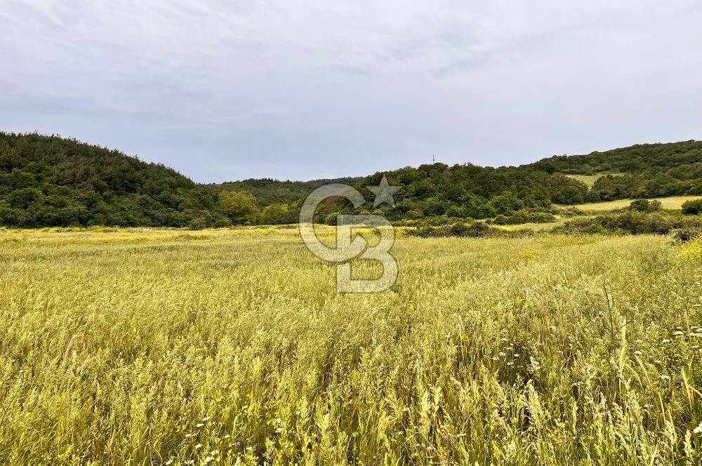 FIRSAT LAPSEKİ GÜRECİALTINDA BURSA YOLUNA 50M DENİZE 300M ARAZİ