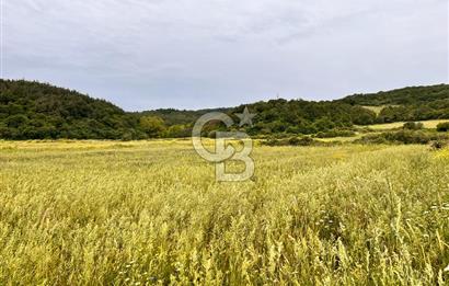 FIRSAT LAPSEKİ GÜRECİALTINDA BURSA YOLUNA 50M DENİZE 300M ARAZİ