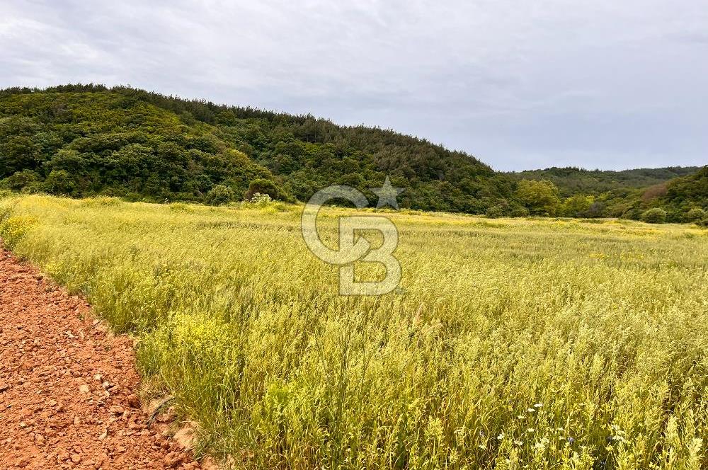 FIRSAT LAPSEKİ GÜRECİALTINDA BURSA YOLUNA 50M DENİZE 300M ARAZİ