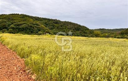 FIRSAT LAPSEKİ GÜRECİALTINDA BURSA YOLUNA 50M DENİZE 300M ARAZİ