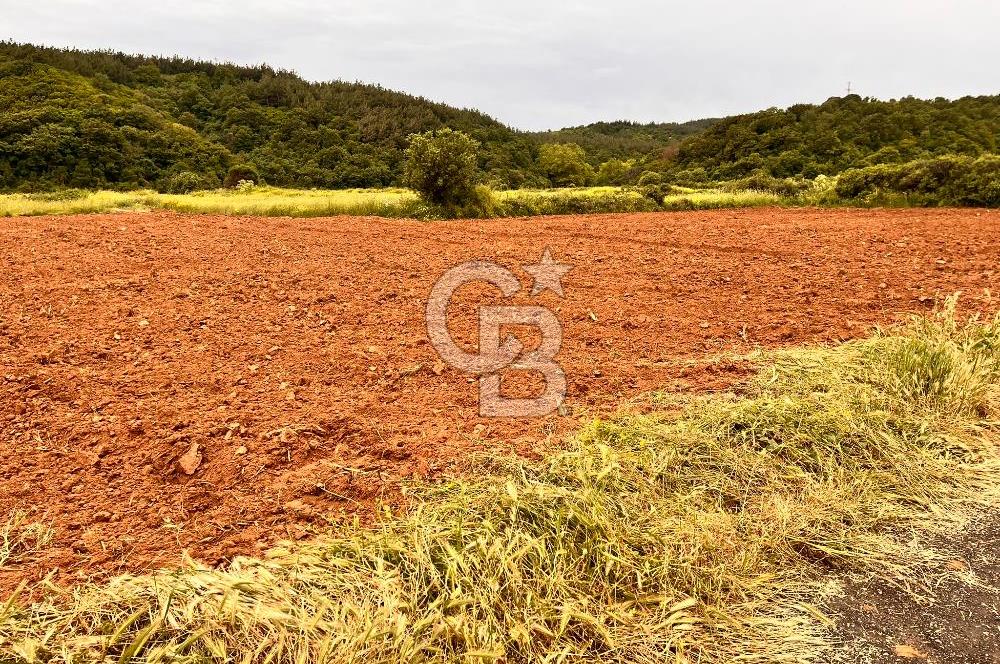 FIRSAT LAPSEKİ GÜRECİALTINDA BURSA YOLUNA 50M DENİZE 300M ARAZİ