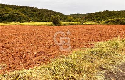 FIRSAT LAPSEKİ GÜRECİALTINDA BURSA YOLUNA 50M DENİZE 300M ARAZİ