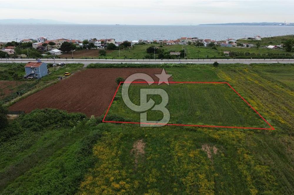 FIRSAT LAPSEKİ GÜRECİALTINDA BURSA YOLUNA 50M DENİZE 300M ARAZİ