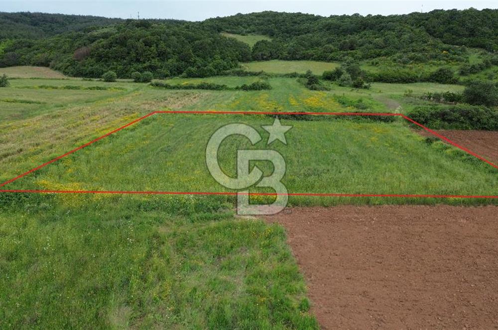 FIRSAT LAPSEKİ GÜRECİALTINDA BURSA YOLUNA 50M DENİZE 300M ARAZİ