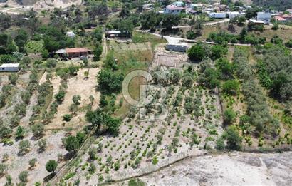 ÇANAKKALE KAYADERE KÖYÜ 1.135M² SATILIK ARAZİ