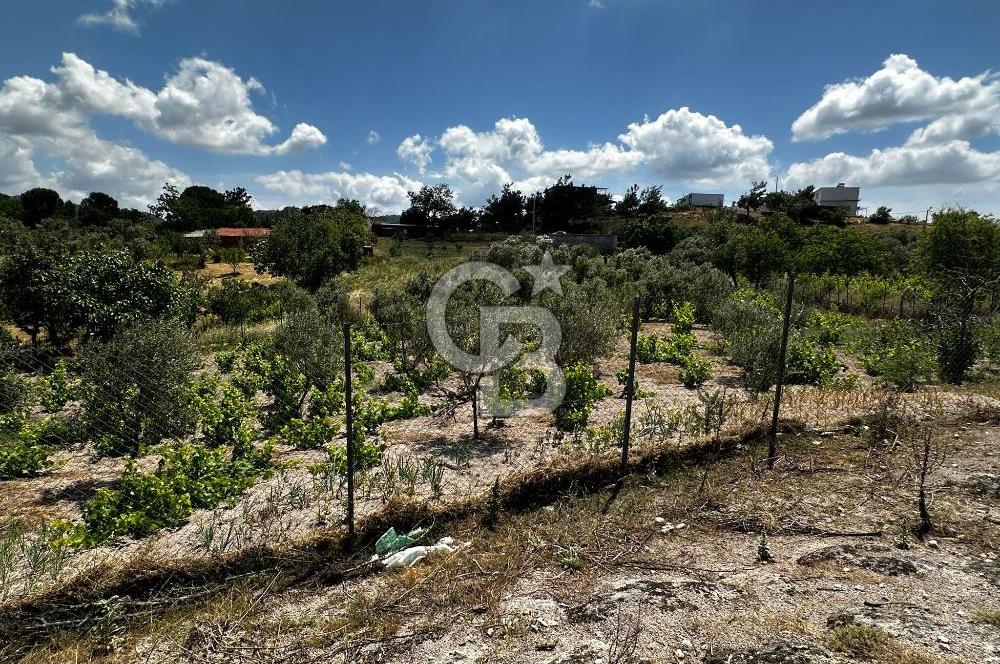 ÇANAKKALE KAYADERE KÖYÜ 1.135M² SATILIK ARAZİ