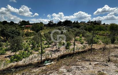 ÇANAKKALE KAYADERE KÖYÜ 1.135M² SATILIK ARAZİ