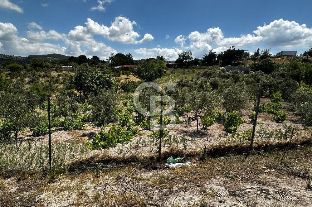 ÇANAKKALE KAYADERE KÖYÜ 1.135M² SATILIK ARAZİ