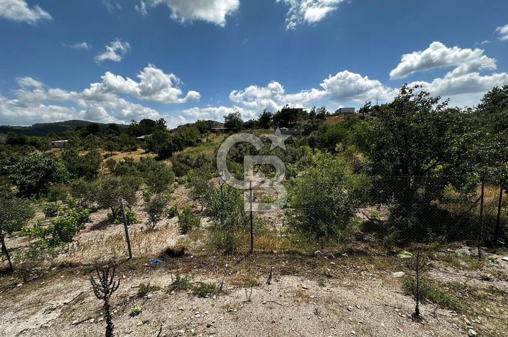 ÇANAKKALE KAYADERE KÖYÜ 1.135M² SATILIK ARAZİ