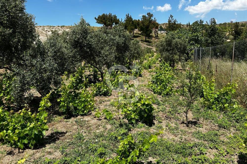 ÇANAKKALE KAYADERE KÖYÜ 1.135M² SATILIK ARAZİ